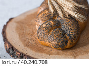 Классическая пшеничная коса или плетёнка с маком. Вкусный хлеб крупным планом. Свежеиспеченный хлеб на закваске с золотистой корочкой на деревянной доске. Контекст пекарни с вкусным хлебом. Кондитерские изделия. Стоковое фото, фотограф Photojuli / Фотобанк Лори