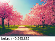 A picturesque park awash with the delicate shades of pink and red as cherry or maple trees come into bloom, heralding the start of the spring season. Ai generated. Стоковое AI-изображение, AI-художник Владимир Разгуляев / Фотобанк Лори