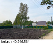 Участок земли, расчищенный для строительства дачи (2022 год). Стоковое фото, фотограф Мария Кылосова / Фотобанк Лори