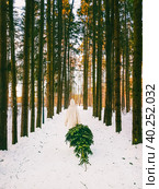 A girl in a white fur coat drags a Christmas tree from the forest on a winter day. Стоковое фото, фотограф Андрей С / Фотобанк Лори