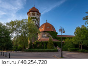 View of the Raushen water tower on a sunny summer day, Svetlogorsk, Kaliningrad region, Russia. Стоковое фото, фотограф Ula Ulachka / Фотобанк Лори