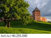 View of the Dvortsovaya Tower of Novgorod Kremlin on sunny summer day, Veliky Novgorod, Novgorod region, Russia. Стоковое фото, фотограф Ula Ulachka / Фотобанк Лори