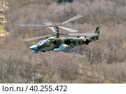 Ударный вертолёт Ка-52 "Аллигатор" ВКС России (2020 год). Редакционное фото, фотограф Александр Тарасенков / Фотобанк Лори