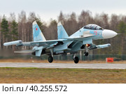 Многоцелевой истребитель Су-30СМ ВКС России (2020 год). Редакционное фото, фотограф Александр Тарасенков / Фотобанк Лори