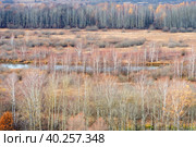 Потрясающие виды с Лысой горы. Гороховец. Россия. Стоковое фото, фотограф Pukhov K / Фотобанк Лори