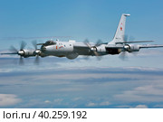 Дальний противолодочный самолёт Ту-142 морской авиации ВМФ России (2021 год). Редакционное фото, фотограф Александр Тарасенков / Фотобанк Лори