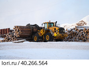 Погрузчик перевозит брёвна (2023 год). Редакционное фото, фотограф Ксения Веревкина / Фотобанк Лори