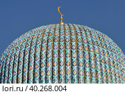 Купол соборной мечети в Петербурге (2010 год). Стоковое фото, фотограф Александр Алексеев / Фотобанк Лори