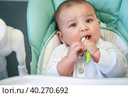 A hungry baby is gnawing on a plastic spoon at the table on a high chair. Teething, whims, itchy gums, introduction of complementary foods. Стоковое фото, фотограф Ольга Симонова / Фотобанк Лори