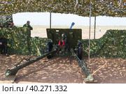 Волгоградская область, Средняя Ахтуба, Россия. Военная реконструкция, дивизионная пушка ЗИС-3 на замаскированной огневой позиции, эпизод Сталинградской битвы. (2021 год). Редакционное фото, фотограф Андрей Цыганков / Фотобанк Лори