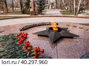 Eternal flame on the Walk of Fame with red carnations. Monument "Cranes" in memory of the pilots who died in the battles for the sky over Moscow. The city of Vidnoye, Leninsky district, Moscow region 2023. Редакционное фото, фотограф Photojuli / Фотобанк Лори