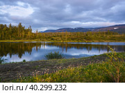 Лето на плато Путорана (2021 год). Редакционное фото, фотограф Сергей Дрозд / Фотобанк Лори