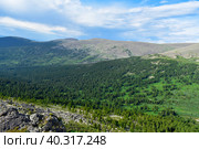 Алтайское среднегорье. Стоковое фото, фотограф AkkordPhoto / Фотобанк Лори