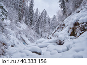 Footpath in winter taiga forest under heavy snow along Tevenek river on the bank of Teletskoe lake. Altai. Стоковое фото, фотограф Сергей Пристяжнюк (Serg Zastavkin) / Фотобанк Лори
