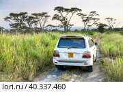 Toyota Land Cruiser 100 (2023 год). Редакционное фото, фотограф Art Konovalov / Фотобанк Лори