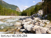 Beautiful summer landscape. A river with a fast current. Стоковое фото, фотограф Виктория Тельминова / Фотобанк Лори