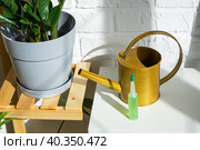 Drip fertilizer for potted plants, stimulator of development, growth acceleration, home plant care. A bottle of liquid is inserted into the soil in a pot. Home crop production. Стоковое фото, фотограф Ольга Симонова / Фотобанк Лори
