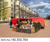 Ярмарка на улице Крупская. Московская область, город Балашиха (2023 год). Редакционное фото, фотограф Овчинникова Ирина / Фотобанк Лори