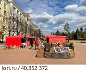 Ярмарка на улице Крупская. Московская область, город Балашиха (2023 год). Редакционное фото, фотограф Овчинникова Ирина / Фотобанк Лори