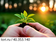 A plant seedling in the hands of a person before planting a close-up in the light of the evening sun. Generative AI. Стоковое AI-изображение, AI-художник Mixail59 / Фотобанк Лори