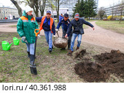Общегородской весенний субботник. Участники субботника совместно с сотрудниками коммунальных служб во время высадки деревьев в Рахманиновском сквере. (2023 год). Редакционное фото, фотограф Евгений Кашпирев / Фотобанк Лори