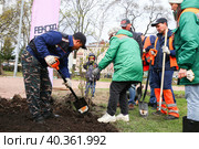 Общегородской весенний субботник.  Участники субботника во время высадки кустов в Рахманиновском сквере. (2023 год). Редакционное фото, фотограф Евгений Кашпирев / Фотобанк Лори
