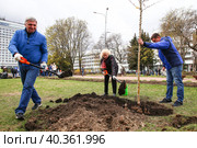 Общегородской весенний субботник. Участники субботника совместно с сотрудниками  коммунальных служб во время высадки деревьев в Рахманиновском сквере. (2023 год). Редакционное фото, фотограф Евгений Кашпирев / Фотобанк Лори