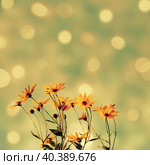 Декоративный фон с желтыми цветами. Abstract sparkling background with flowers. Стоковое фото, фотограф Елена Арсентьева / Фотобанк Лори