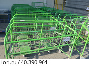 Покупательские торговые тележки на входе строительного магазина Ларуа Марлен (2023 год). Редакционное фото, фотограф Сергеев Валерий / Фотобанк Лори