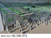 Покупательские торговые тележки на входе строительного магазина Ларуа Марлен (2023 год). Редакционное фото, фотограф Сергеев Валерий / Фотобанк Лори