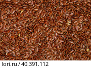 Flaxseed Culinary background. Flax seed close-up. Linseeds. Vegan and vegetarian cuisine. Top view, selective focus. Стоковое фото, фотограф Виктория Панченко / Фотобанк Лори
