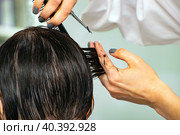 Real female haircut in a beauty salon. woman hairdresser and client. female business. cutting off a strand of wet hair. Стоковое фото, фотограф Антон Вахрушев / Фотобанк Лори