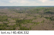 Южный Урал весной, вид на горную тайгу с воздуха. Southern Urals in spring, a view of the mountain taiga from the air. Стоковое видео, видеограф Евгений Романов / Фотобанк Лори