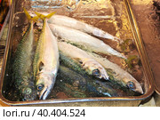 The local fish market in Tokyo, Japan (2013 год). Стоковое фото, фотограф Сергей Стрелков / Фотобанк Лори