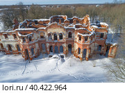 Вид  на руины старинного дворца Потемкина солнечным февральским днем (съемка с квадрокоптера). Гостилицы. Ленинградская область (2023 год). Стоковое фото, фотограф Виктор Карасев / Фотобанк Лори