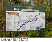 Информационный щит с планом Тисо-самшитовой рощи Кавказского заповедника. Город Сочи (2023 год). Редакционное фото, фотограф Вячеслав Палес / Фотобанк Лори