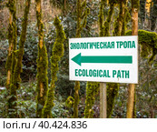 Указатель "Экологическая тропа" Стоковое фото, фотограф Вячеслав Палес / Фотобанк Лори