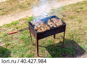 Барбекю с вкусным куриным мясом на гриле на гриле. Стоковое фото, фотограф FotograFF / Фотобанк Лори