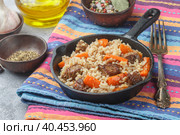 Devzira pilaf with lamb, onions, carrots and spices (cumin, coriander, pepper). Traditional dishes of Uzbek cuisine. Selective focus. Стоковое фото, фотограф Виктория Панченко / Фотобанк Лори