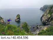 Морской пейзаж, мыс Шульца, Приморский край, Хасанский район. Стоковое фото, фотограф Римма Тельнова / Фотобанк Лори