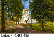 Собор Рождества Пресвятой Богородицы, Солотчинский монастырь, Солотча, Рязанская область (2019 год). Стоковое фото, фотограф Олег Пученков / Фотобанк Лори