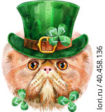 Lovely closeup portrait of Exotic Shorthair cat in a leprechaun hat with clover leaves. Hand drawn water colour painting on white background. Стоковая иллюстрация, иллюстратор Наталья Андрейченко / Фотобанк Лори