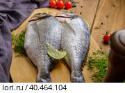 Raw peeled dorado fish with cooking ingredients. Fresh fish on a wooden background. Стоковое фото, фотограф Юрий Поздников / Фотобанк Лори