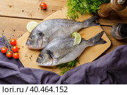 Raw peeled dorado fish with cooking ingredients. Fresh fish on a wooden background. Стоковое фото, фотограф Юрий Поздников / Фотобанк Лори