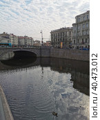 Набережная реки Карповки, в воде отражается фонарь и небо с облаками, плывет утка, через реку перекинут Силин мост (2021 год). Стоковое фото, фотограф Елена Яворская / Фотобанк Лори