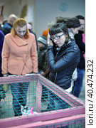 St. Petersburg, Russia 26.10.2013    The Way Home - show the distribution of animal shelter Rzhevka, Стоковое фото, фотограф Анна Кривицкая / Фотобанк Лори