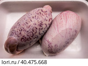 Bull testicles on a white plastic tray. Стоковое фото, фотограф Iva Noel / Фотобанк Лори