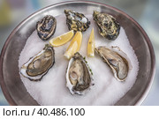Fresh oysters and lemon on ice in metal plate. Стоковое фото, фотограф Iva Noel / Фотобанк Лори
