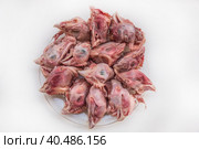 Raw chicken heads. Cat food. Стоковое фото, фотограф Iva Noel / Фотобанк Лори