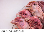 Raw chicken heads. Cat food. Стоковое фото, фотограф Iva Noel / Фотобанк Лори